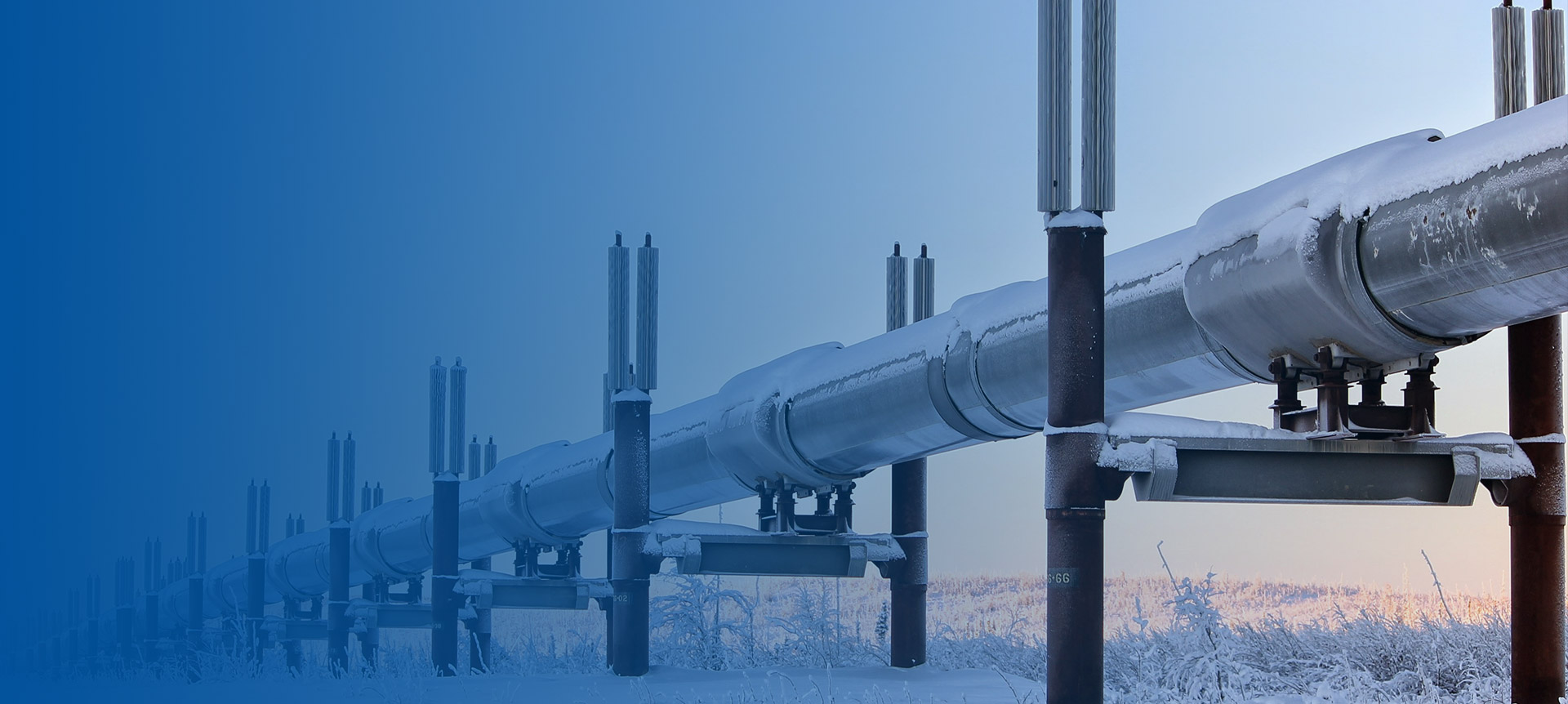 常州91视频官网新材料科技有限公司